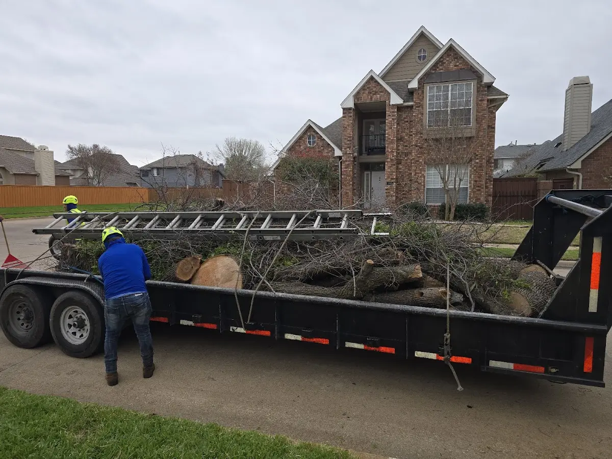 Expert Tree Fertilization with proper safety equipment in Concepcion